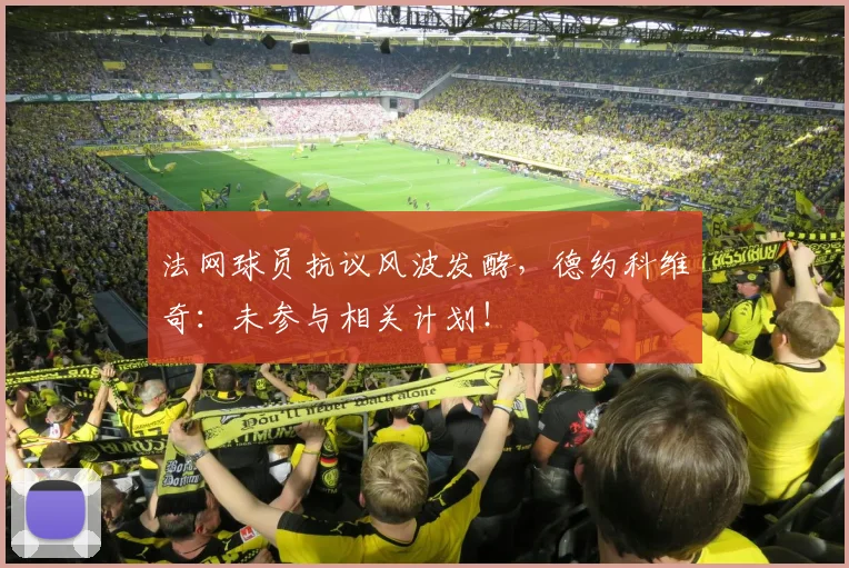 法网球员抗议风波发酵，德约科维奇：未参与相关计划！