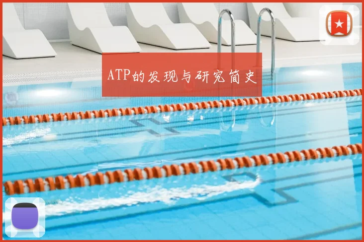 ATP的发现与研究简史