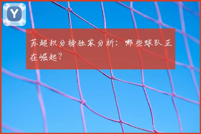 苏超积分榜独家分析:哪些球队正在崛起?