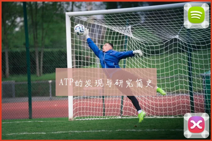 ATP的发现与研究简史