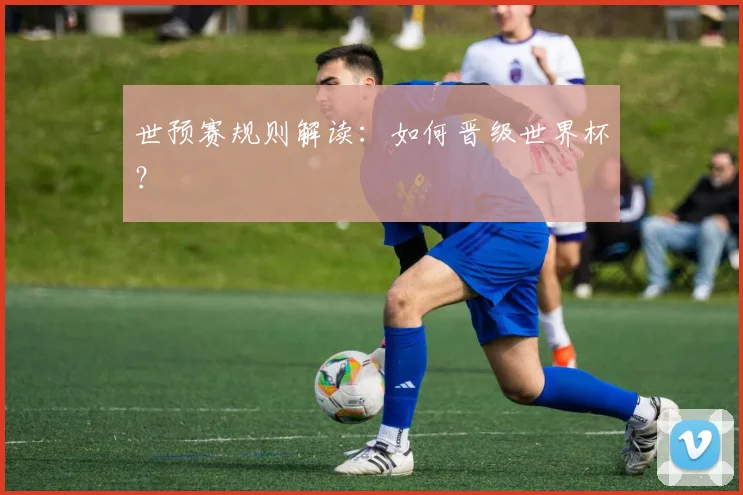 世预赛规则解读：如何晋级世界杯？