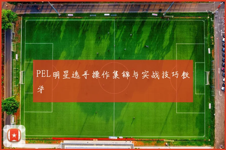 PEL明星选手操作集锦与实战技巧教学