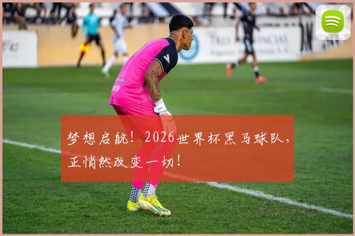 梦想启航！2026世界杯黑马球队，正悄然改变一切！