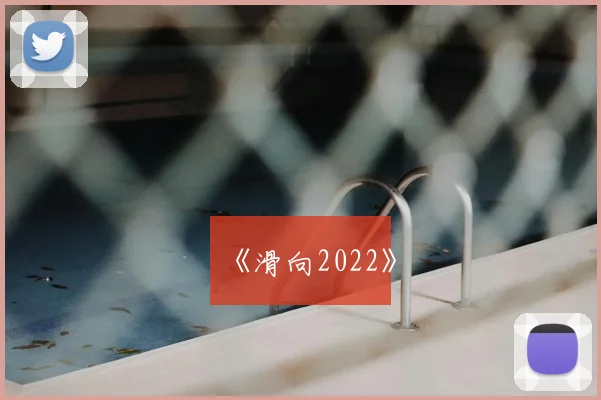 《滑向2022》