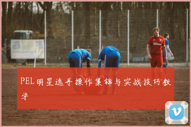 PEL明星选手操作集锦与实战技巧教学