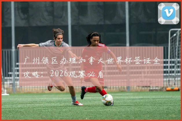 广州领区办理加拿大世界杯签证全攻略：2026观赛必看