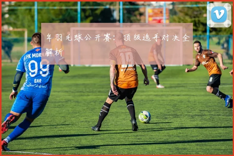 年羽毛球公开赛：顶级选手对决全解析