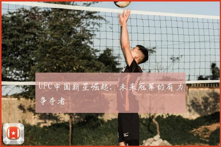 UFC中国新星崛起：未来冠军的有力争夺者