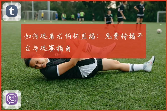 如何观看尤伯杯直播：免费转播平台与观赛指南
