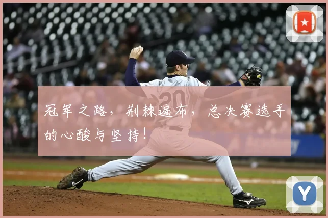 冠军之路，荆棘遍布，总决赛选手的心酸与坚持！